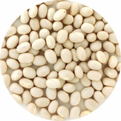 Arax fazole bílá malá 5 kg – Zboží Dáma