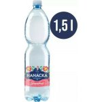 Hanácká Kyselka Grapefruit 1,5 l – Hledejceny.cz
