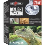 Repti Planet Daylight Basking Spot 75 W 007-41003 – Zboží Mobilmania