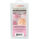 Yankee Candle Sugared Bloosoms vonný vosk 75 g – Hledejceny.cz