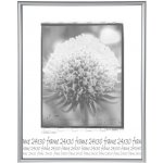 Tradag Rámeček stříbrný UH 24x30 – Zboží Živě