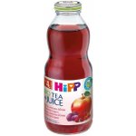 HiPP BIO Z červených plodů ovoce 500 ml – Zboží Dáma