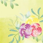 BioDunisoft Ubrousek Soft Tropics 100031859 40x40cm 60ks – Zboží Dáma