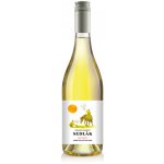 Vinařství Sedlák Müller Thurgau Muškát moravský Frizzante jakostní jemně perlivé 2025 11% 0,75 l (holá láhev) – Zboží Dáma