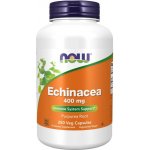 Now Foods Třapatka Echinacea 400 mg 250 kapslí – Hledejceny.cz