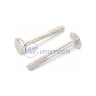 WINTECH Šroub vratový M6 x 55/55 DIN 603 A2 Balení: 200 ks SHAAA06055BO1 – Zboží Mobilmania