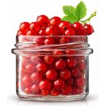 Zavarovacisklo.cz Zavařovací sklenice ELA STURZ / ROVNÁ TO 66 na maso a paštiku 35ks x 125 ml – Sleviste.cz