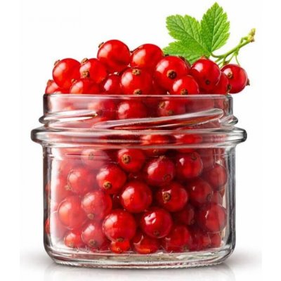 Zavarovacisklo.cz Zavařovací sklenice ELA STURZ / ROVNÁ TO 66 na maso a paštiku 35ks x 125 ml – Sleviste.cz