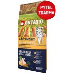 Ontario Adult Medium Chicken & Potatoes 12 kg – Hledejceny.cz