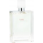 Hermès Terre D Hermès Eau Tres Fraiche toaletní voda pánská 75 ml tester – Hledejceny.cz