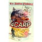 4Carp Dipované puffi 100ml Halibut – Hledejceny.cz