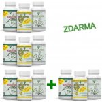 Oro Verde Očistná kúra 3 x 100 x350 mg VEGA kapsle – Hledejceny.cz