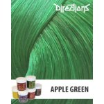 La Riché Directions 15 Apple Green 89 ml – Sleviste.cz