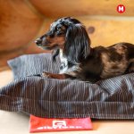 Silviger Sharebag Pelíšek – Hledejceny.cz