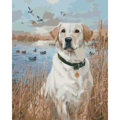 ZUTY Malování podle čísel ZLATÝ LABRADOR V RÁKOSÍ U RYBNÍKA A KACHNY JIM KILLEN Rozměr 40 x 50 cm Rámování bez rámu a bez vypnutí plátna – Hledejceny.cz