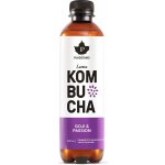 Puhdistamo Kombucha BIO 400 ml goji a marakuja – Hledejceny.cz