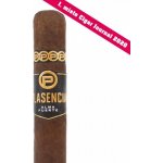 Plasencia Alma Fuerte Robustus I Robusto – Zboží Dáma