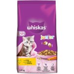 Whiskas Dry Junior s kuřecím 1,4 kg – Sleviste.cz