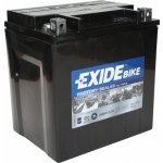 Exide AGM12-31 | Zboží Auto