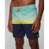 Koupací šortky, boardshorts Billabong Fifty 50 Lb