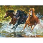 Norimpex Diamantové malování Koně v řece 30 x 40 cm – Hledejceny.cz