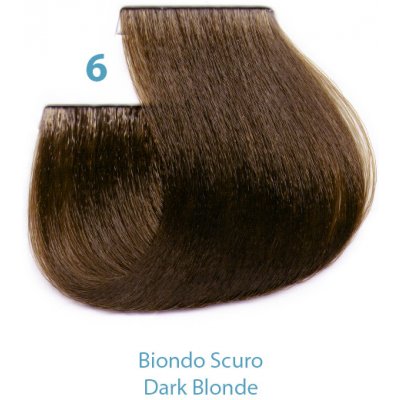 Silky Dressing barva na vlasy 6 100 ml