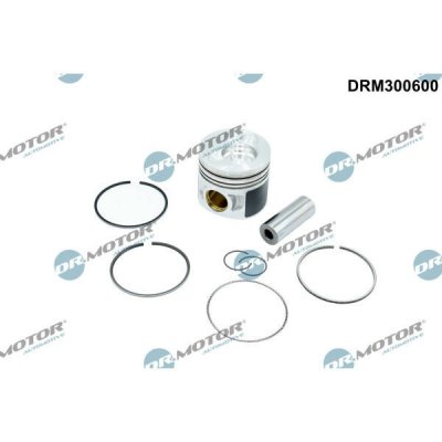 Dr.Motor Automotive DRM300600 – Hledejceny.cz
