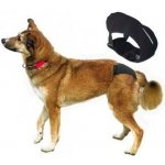 Trixie DeLuxe XL Kalhotky hárací 60-70 cm – Zboží Mobilmania