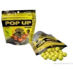 Carp Servis Václavík Pop Up Boilies 40 g 12 mm Slunečnice – Zboží Mobilmania