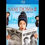 Sám doma 2: Ztracen v New Yorku BD – Hledejceny.cz