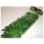 Hagen Exo Terra Abuliton rostlina velká 80 cm – Hledejceny.cz