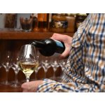 Řízená degustace ve vinném sklípku – Hledejceny.cz