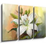 Obraz 3D třídílný - 105 x 70 cm - White lily flower.Flower oil painting Bílá lilie květ. Květinový olejomalba