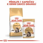 Royal Canin Maine Coon Adult 2 kg – Hledejceny.cz