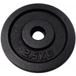 Kubisport Litina 2,5 kg kotouč 25 mm – Zboží Dáma