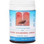 TCM Herbs Klenba malebného chrámu 100 tablet – Hledejceny.cz