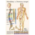 Schéma - Meridiány a Dornova terapie – Zboží Dáma