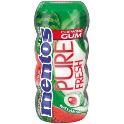 Mentos Pure Fresh Gum Spearmint 30 g – Hledejceny.cz