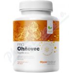 MyTao MycoMedica Ohňovec PRO 90 kapslí – Hledejceny.cz