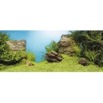 Juwel pozadí Poster 1 XL Plant Reef 150 x 60 cm – Zboží Dáma
