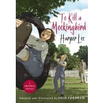 To Kill a Mockingbird Graphic Novel - Harper Lee, Fred Fordham – Hledejceny.cz
