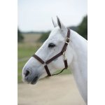 Bucas Ohlávka Dublin hnědá – Sleviste.cz