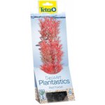 Tetra rostlina Red Foxtail Plus 23 cm – Hledejceny.cz