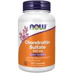 NOW Foods Chondroitin Sulfate 600 mg 120 kapslí – Hledejceny.cz