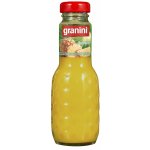 Granini Ananas nektar 200 ml – Zboží Dáma