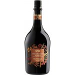 Bottega Vermouth Rosso 16% 0,75 l (holá láhev) – Zboží Dáma