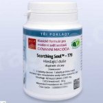 Giovanni Maciocia T79 Hledající duše 60 tablet – Hledejceny.cz