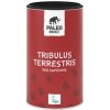 Doplněk stravy na močové a pohlavní orgány Paleo Market Tribulus Terrestris 500 mg 90 kapslí