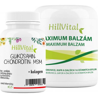 HillVital Maxi Balíček na artrózu a artritidu 470 g – Zbozi.Blesk.cz