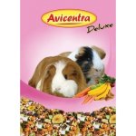 Avicentra Deluxe Morče 0,5 kg – Hledejceny.cz